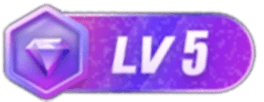 等级-LV5-千晨网